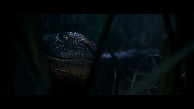 Close-up of a serpent's head partially obscured by grass, with an intense gaze and detailed scales, set in a dimly lit environment.