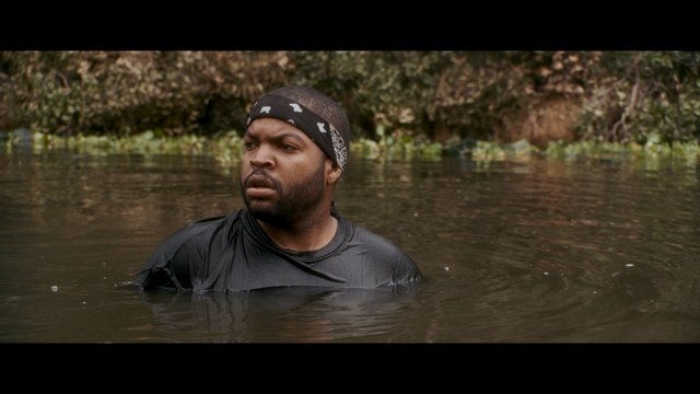 A man in a black shirt and bandana is standing in shallow water, surrounded by greenery, with a concerned expression on his face.