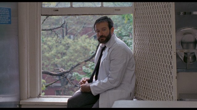 A man in a white lab coat sits on a windowsill, looking pensively outside. The scene features greenery visible through the window, suggesting an outdoor view.