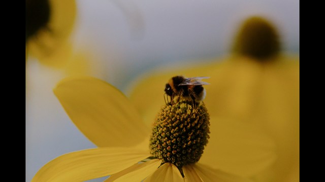 A still from a movie featuring a man standing on a boardwalk in front of an arcade with signs for Skeeball, saltwater taffy, and various attractions.