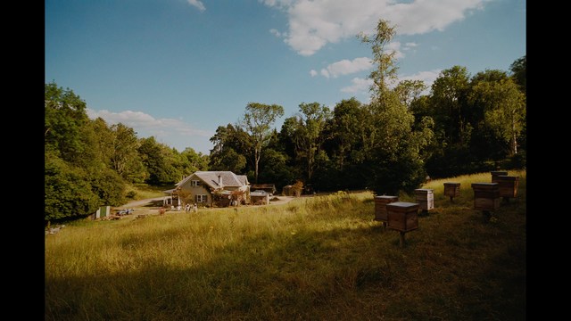 A man with a beard and mustache smiles warmly while standing on a boardwalk by the beach, with colorful flags overhead and a large building in the background.