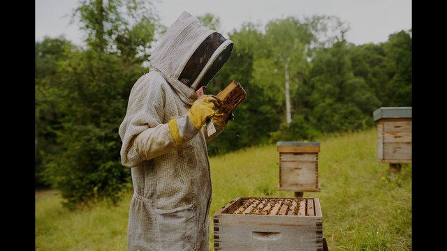 A scene featuring five characters in a bar setting, with a focus on their expressions and interactions. The backdrop includes bar shelves with bottles and a bartender visible in the background.