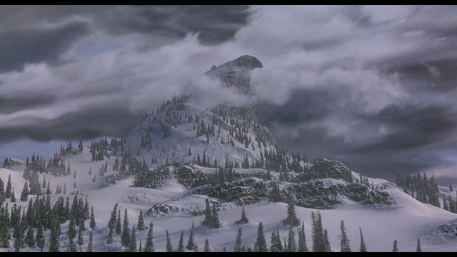 A smiling man with a beard stands on a wooden boardwalk near the beach, with colorful flags in the background and a building visible in the distance.
