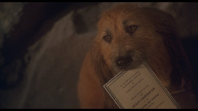 A woman with a shocked expression standing in the middle of a deserted road surrounded by lush greenery.