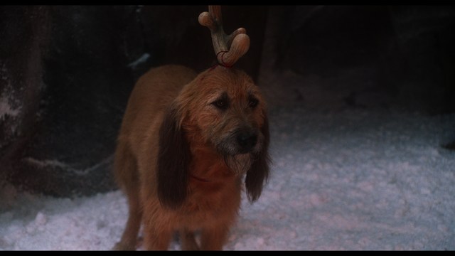 A man with dark, styled hair and a subtle smile seated at a restaurant table, with blurred diners in the background.