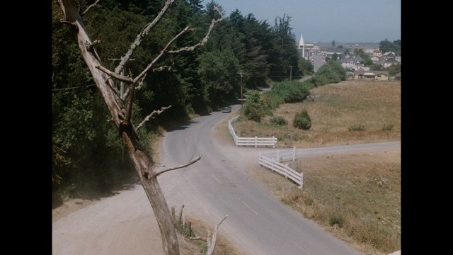 A winding country road surrounded by trees, leading towards a small town in the distance, with a field on the right and a white fence bordering the road.