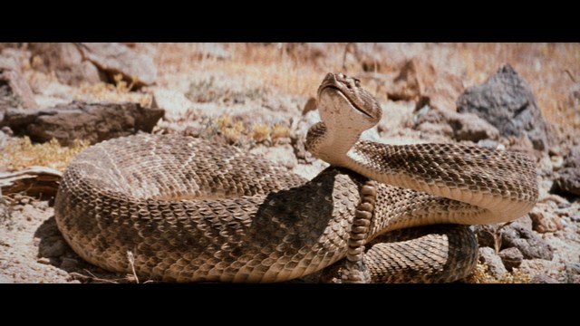 Two men engaged in conversation in a scene from a movie, set against a colorful playground background.