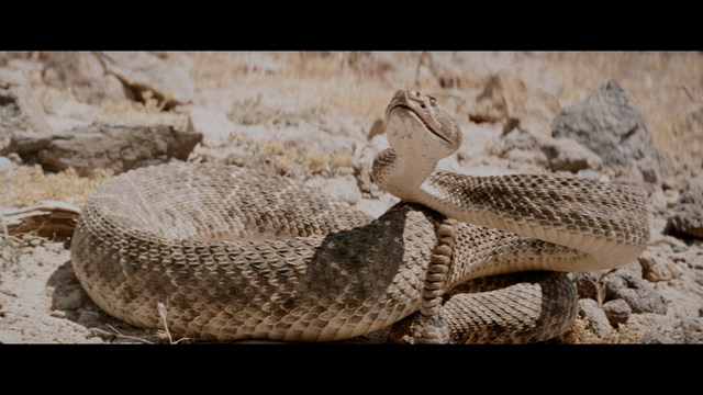 Two men are engaged in conversation at a colorful playground with bright slides in the background.